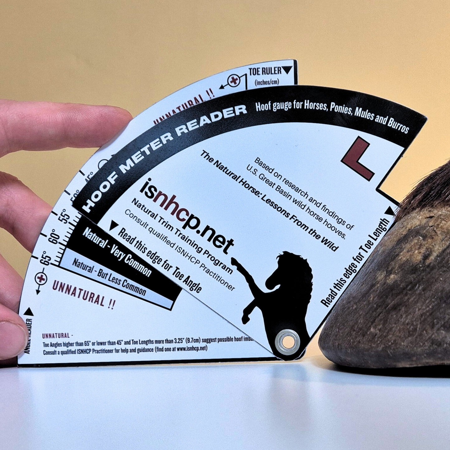 Photo of HMR - Hoof Meter Reader designed by Jaime Jackson based on research and findings of U.S. Great Basin wild horse hooves data published in The Natural Horse: Lessons From the Wild for checking toe angles and toe lenghth.