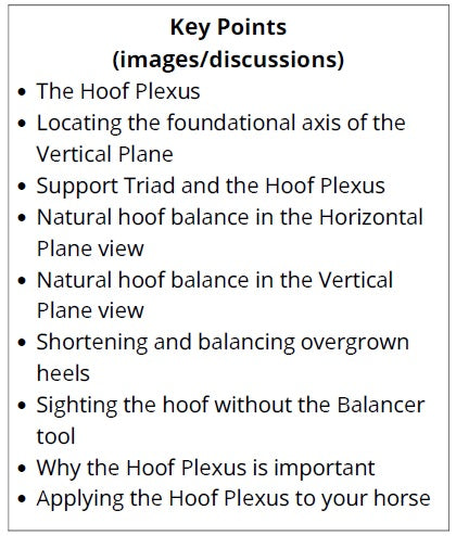 NHC Brief 6 - Hoof Plexus