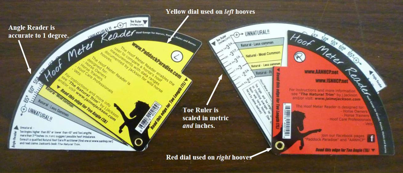 Hoof Meter Reader - End of Line SALE 50% OFF