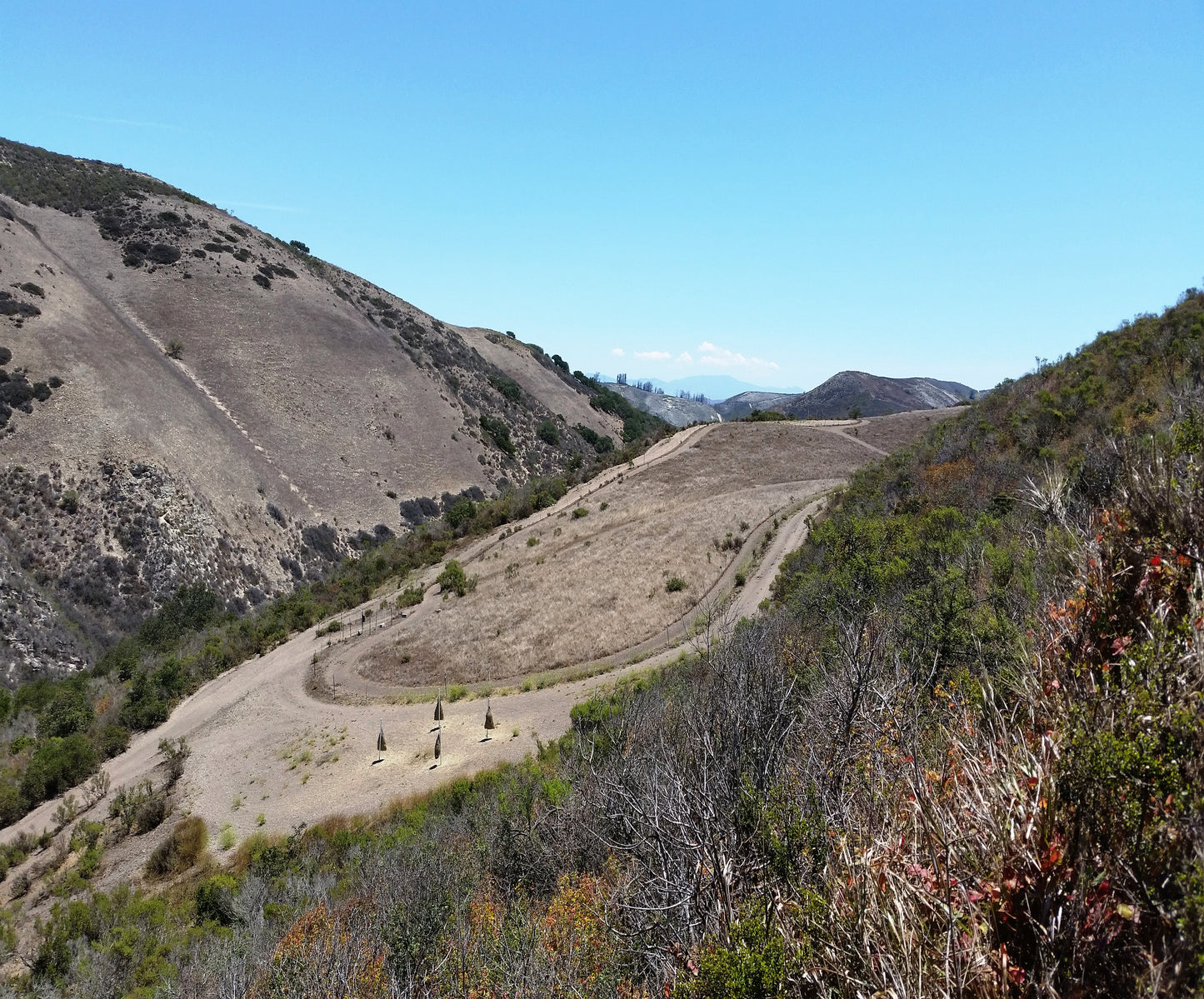 Paddock Paradise: A Guide to Natural Horse Boarding