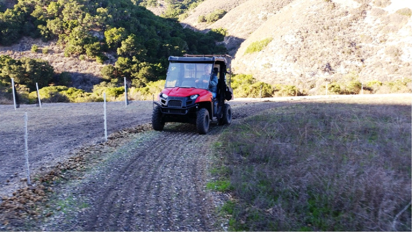 Paddock Paradise: A Guide to Natural Horse Boarding