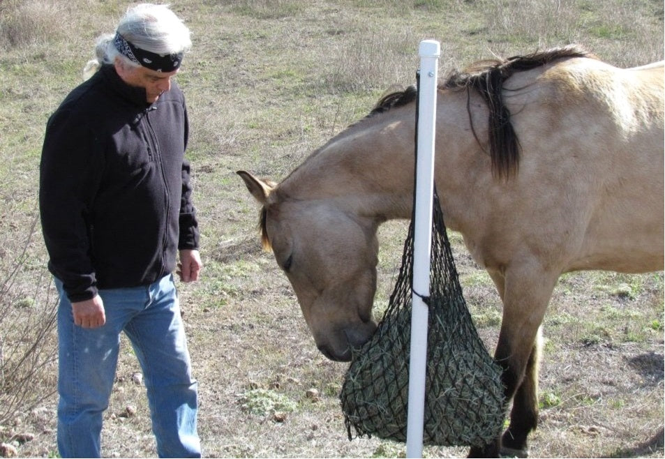 Paddock Paradise: A Guide to Natural Horse Boarding