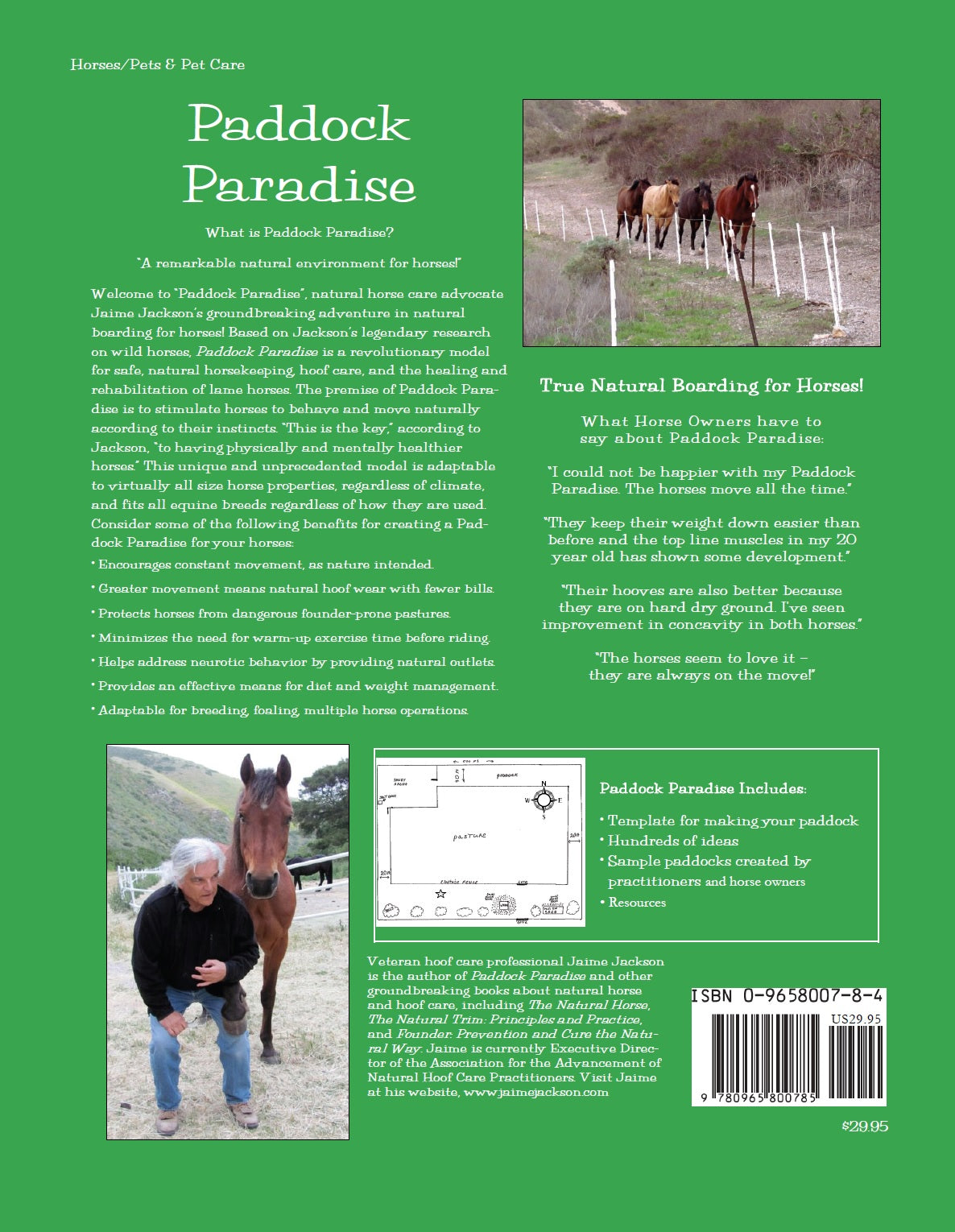 Paddock Paradise: A Guide to Natural Horse Boarding