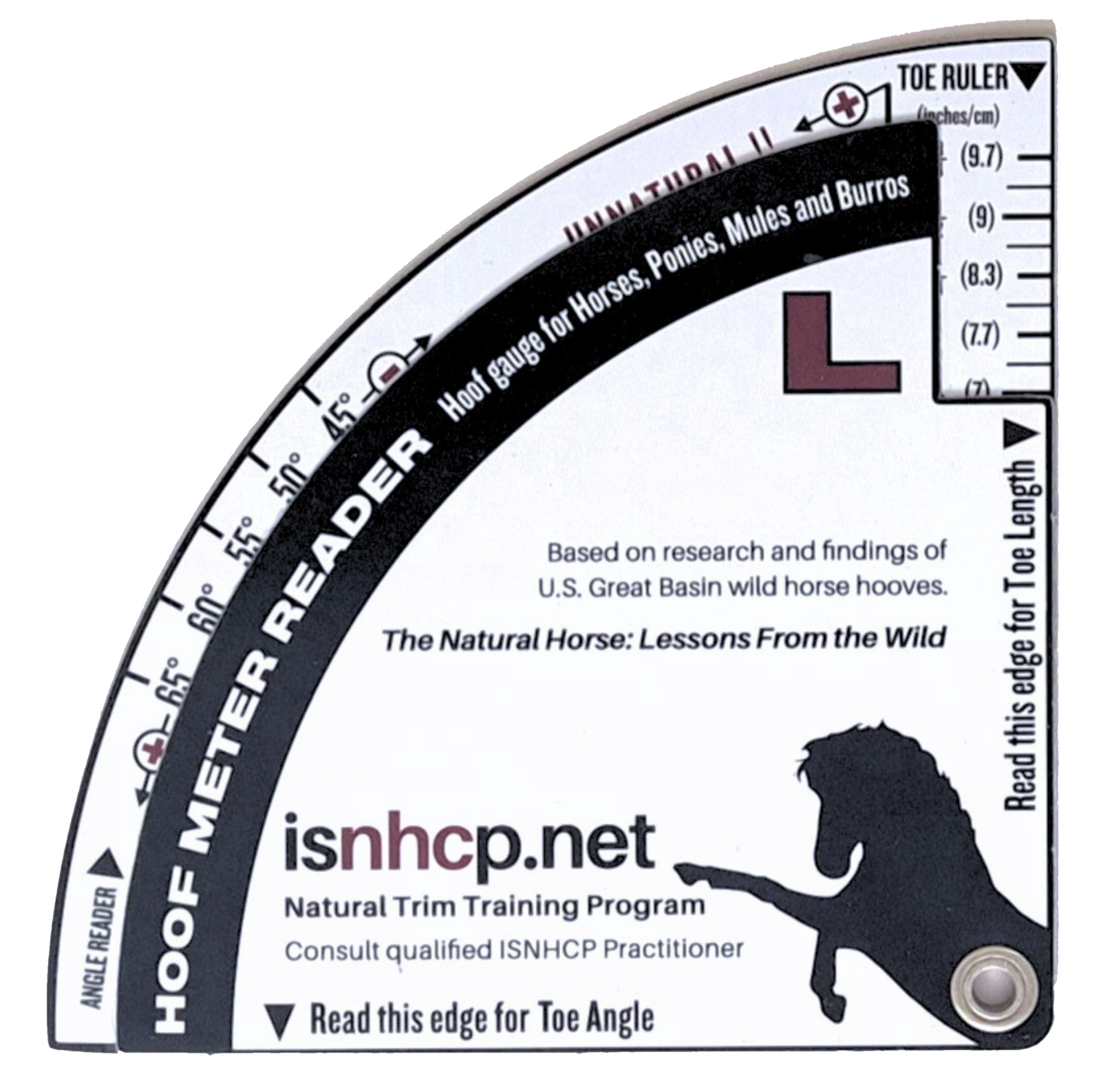 Left side of Hoof Meter Reader (HMR) designed by Jaime Jackson for taking critical measurements on hoof toe length and toe angle based on research and findings of U.S. Great Basin wild horse hooves. Description is featuring ISNCHP (Institute for the Study of Natural Horse Care Practices) Natural Trim Training Program co-funded by Jaime Jackson.