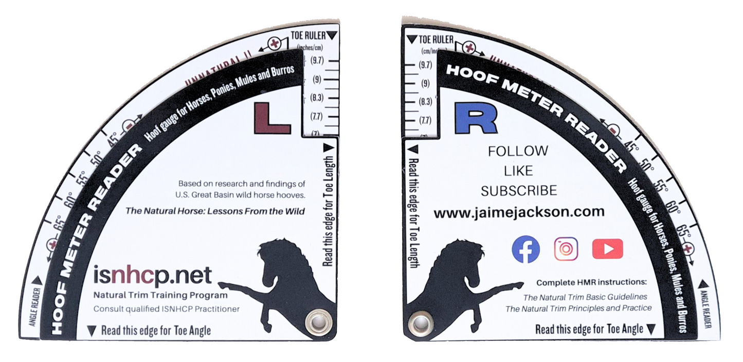 Left and right side of Hoof Meter Reader (HMR) designed by Jaime Jackson for taking critical measurements on hoof toe length and toe angle based on research and findings of U.S. Great Basin wild horse hooves. Description is featuring ISNCHP (Institute for the Study of Natural Horse Care Practices) Natural Trim Training Program co-funded by Jaime Jackson.