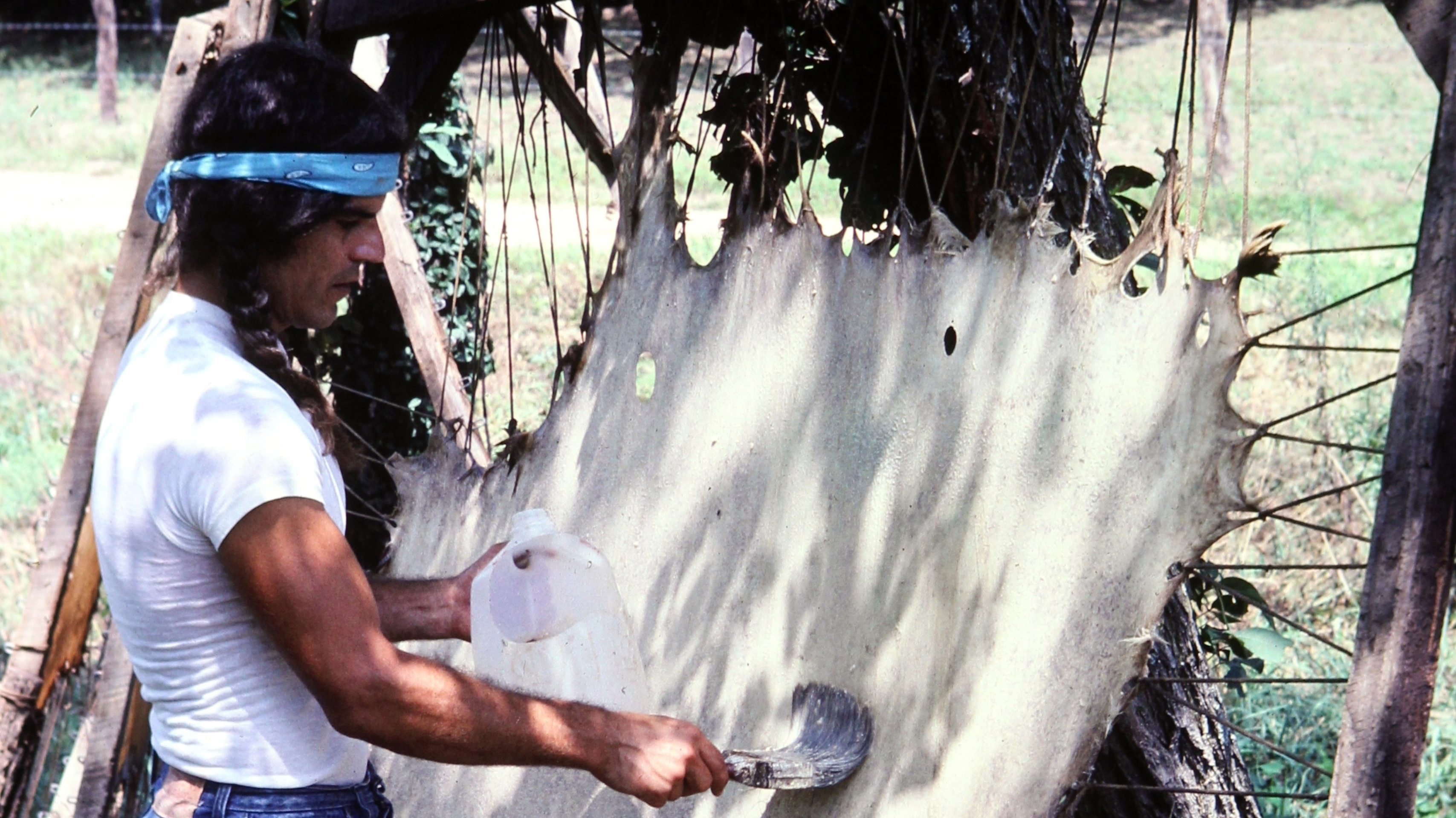 Photo of Jaime Jackson brain tanning deer skin on a tanning frame with paste of cooked pork brains, bone oil and beef liver in 1983, Boston Mountains, Arkansas, USA