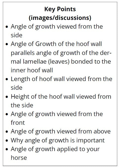 Text detailing key points about hoof wall growth angles and their importance