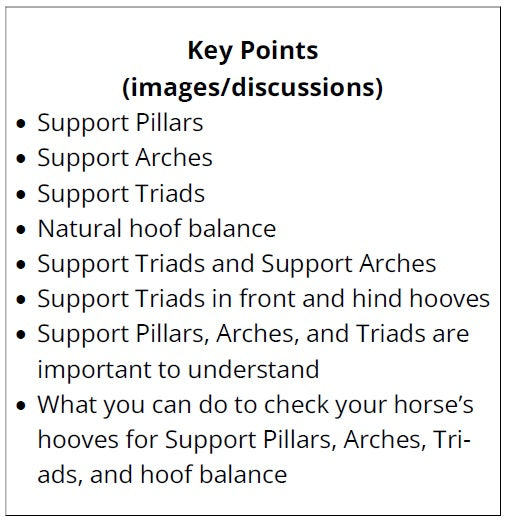 Text list of key points related to horse hoof care and anatomy