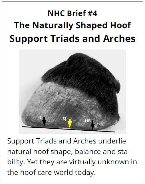 Black and white horse hoof diagram with labeled parts explaining hoof support triads and arches