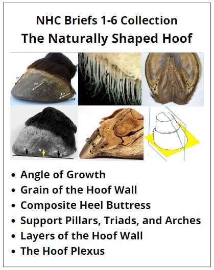 Educational diagram of the naturally shaped hoof with labeled parts and text