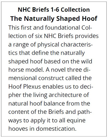 Text describing the NHC Briefs 1–6 Collection