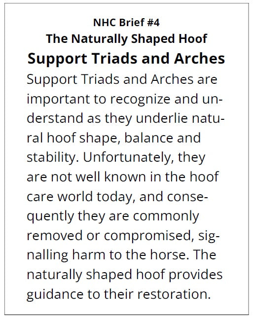 NHC Brief 4 - Support Triads and Arches