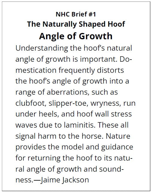 Text excerpt about hoof care and angle of growth for horses by Jaime Jackson