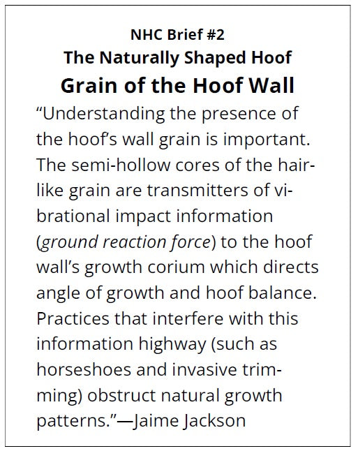 Text discussing the importance of hoof grain and wall structure