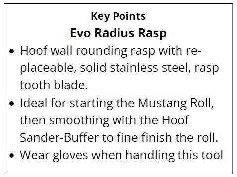 Text description of the Radius Rasp with specifications and usage instructions