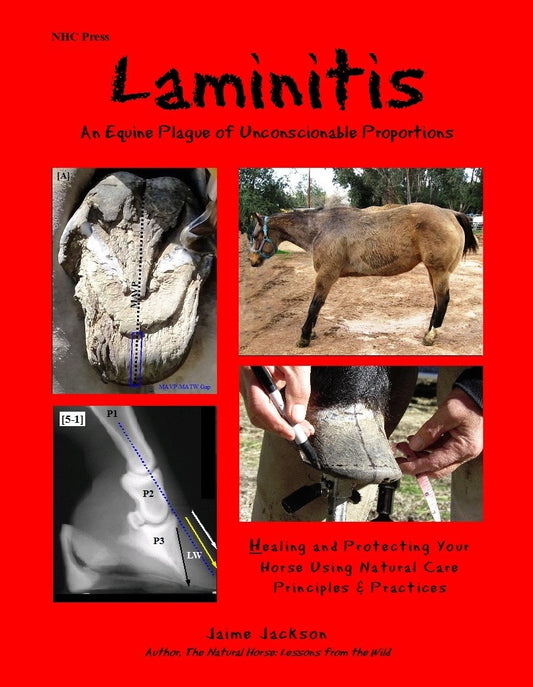 Laminitis: A Plague of Unconscionable Proportions