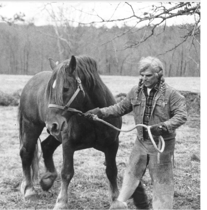 Jaime Jackson with Suffolk Stallion while working on the manuscript of The Natural Horse Lessons From the Wild. The book describes the observations of lives of wild, free-roaming horses living naturally in the U.S. Great Basin and wild horse hoof research conducted in BLM Corrals in Litchfield in 1982 - 86 that concluded in thorough descriptions of naturally shaped hooves, their symmetry, toe length, toe angle, heel angle, direction of growth, wall bevel, sole, bars, and frog, active and passive wear.